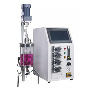 مفاعل إنزيم زجاجي