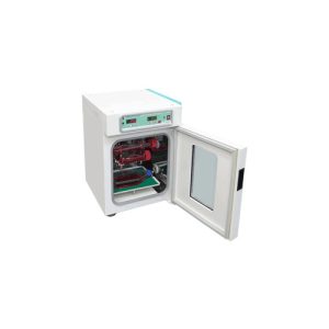 حاضنة التهجين