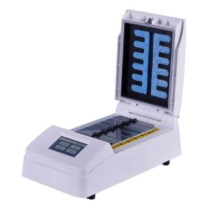 نظام التهجين