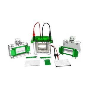 خلية كهربية عمودية صغيرة